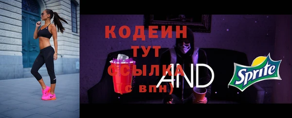 ECSTASY Баксан