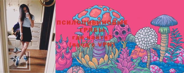 ECSTASY Баксан